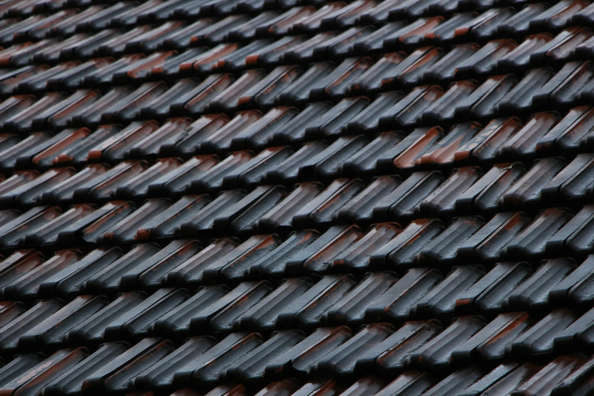 Dark brown roof tiles in neat rows